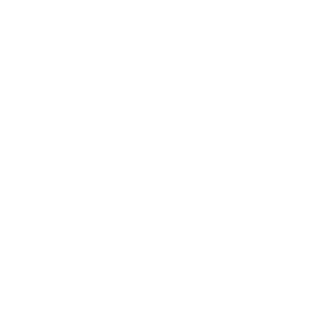 SB-roundel-inner-WHITE.png
