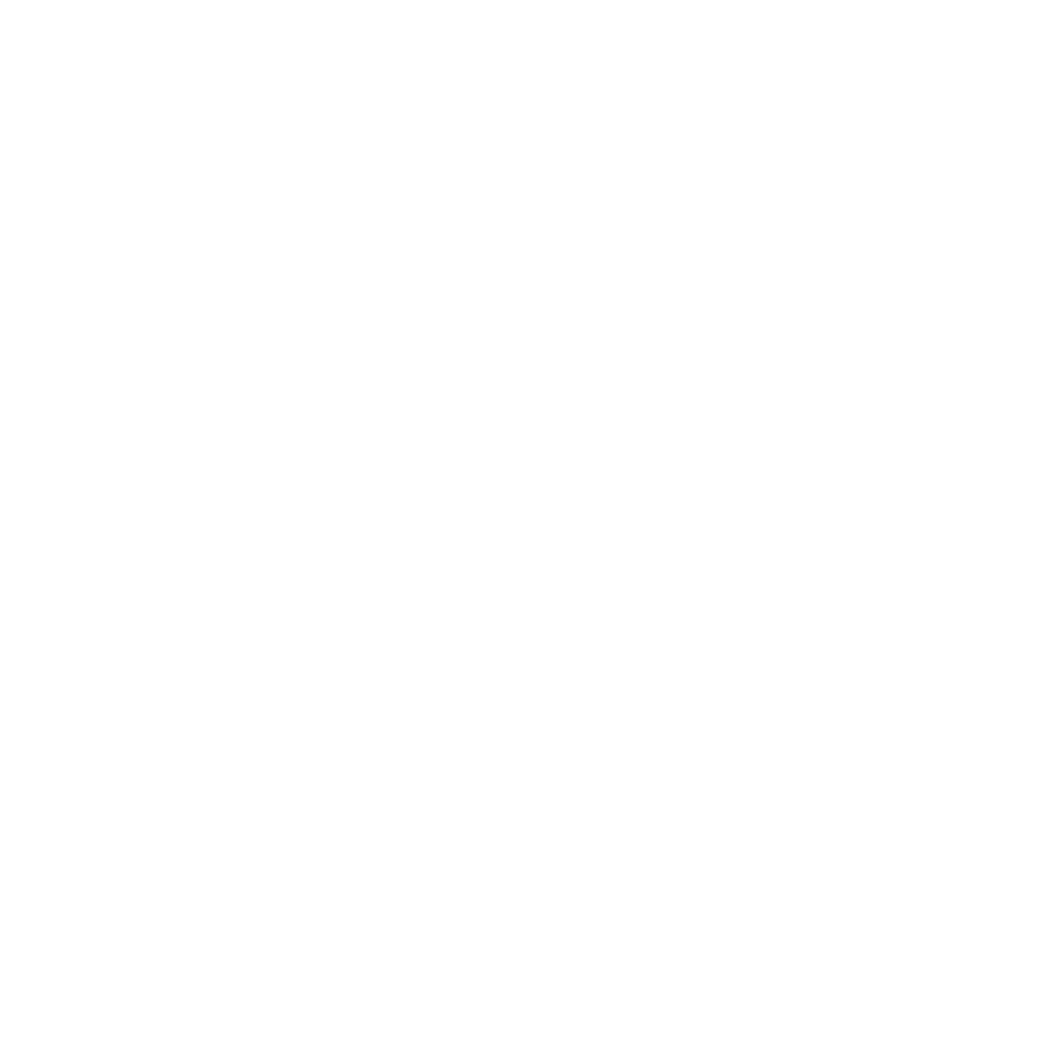 SP-roundel-inner-WHITE.png