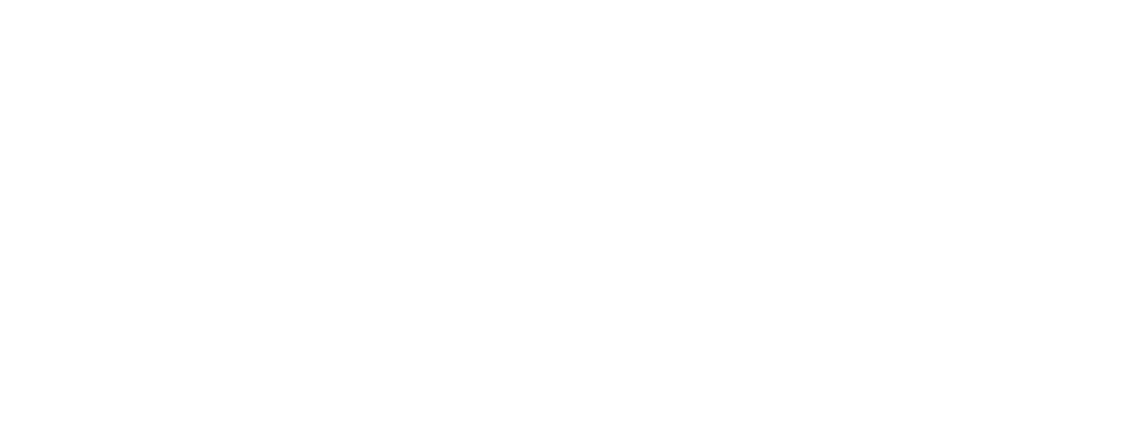 SSG-logo-centred-WHITE.png