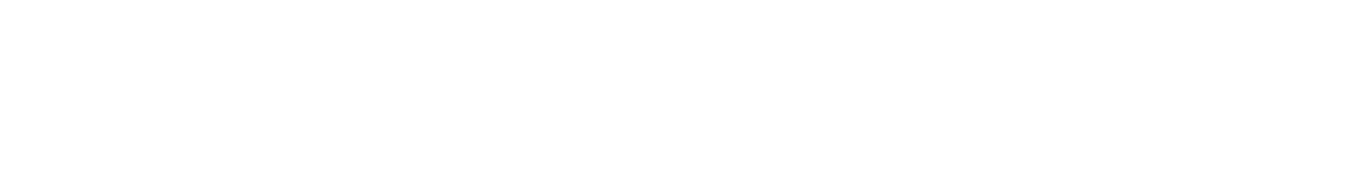 SSG-logo-inline-left-WHITE.png