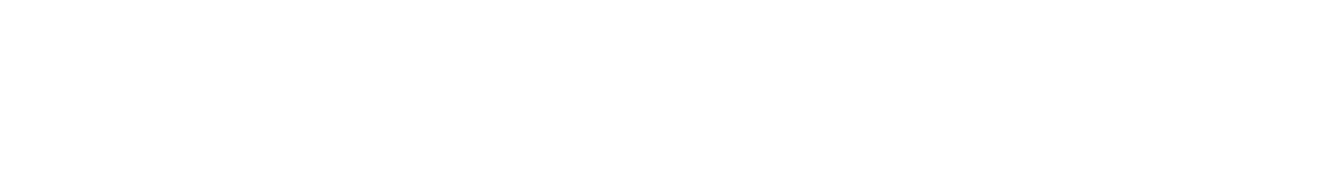 SSG-logo-inline-right-WHITE.png