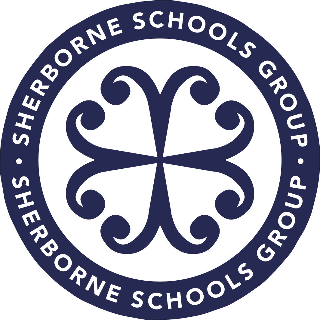 SSG-roundel-only-COLOUR.png